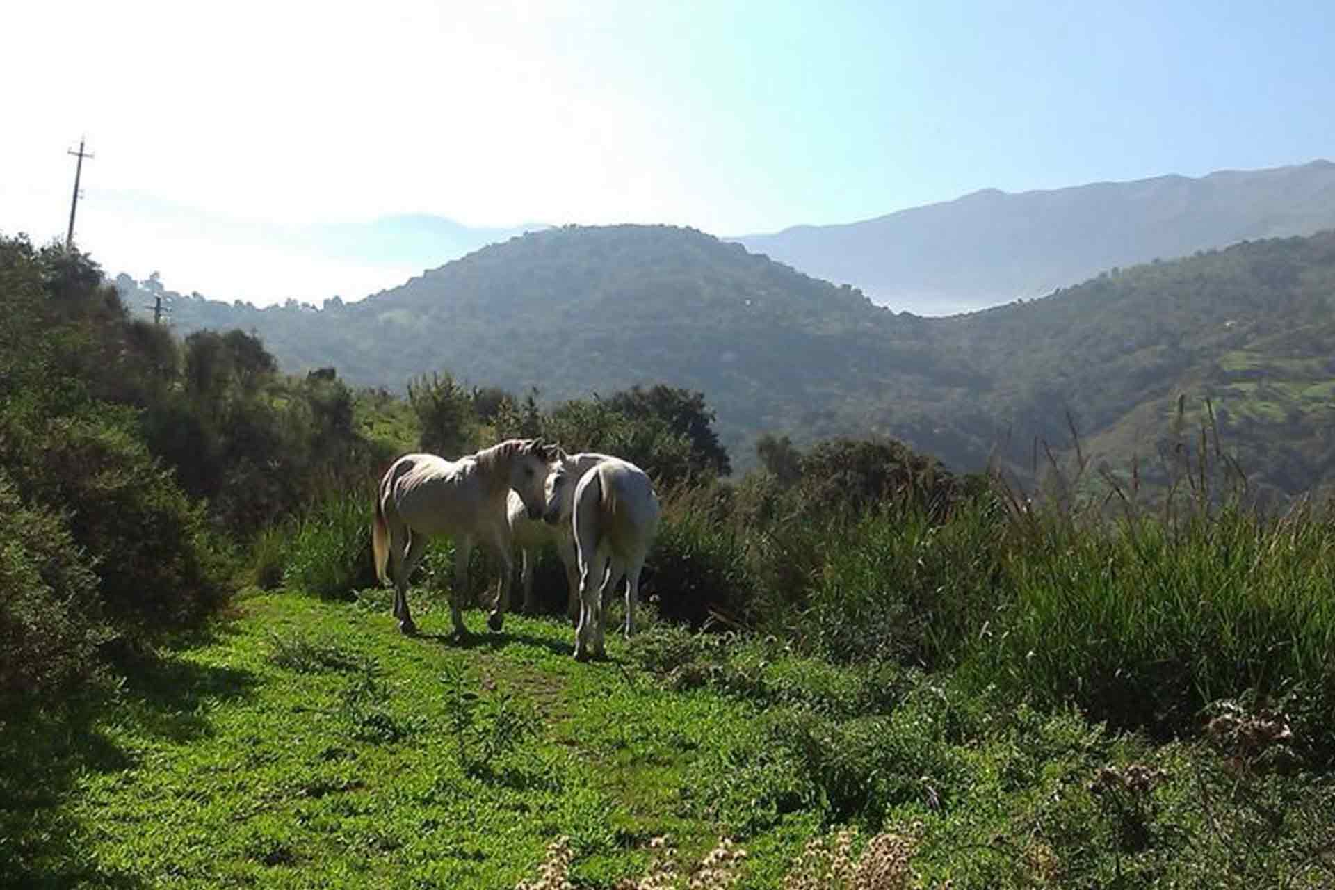 Tenuta Luogo Marchese Alte Madonie